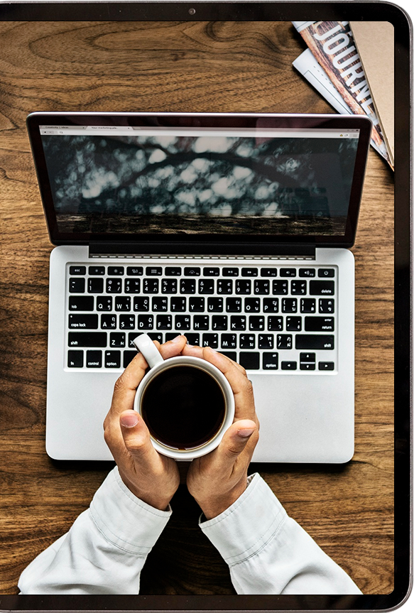WordPress Development